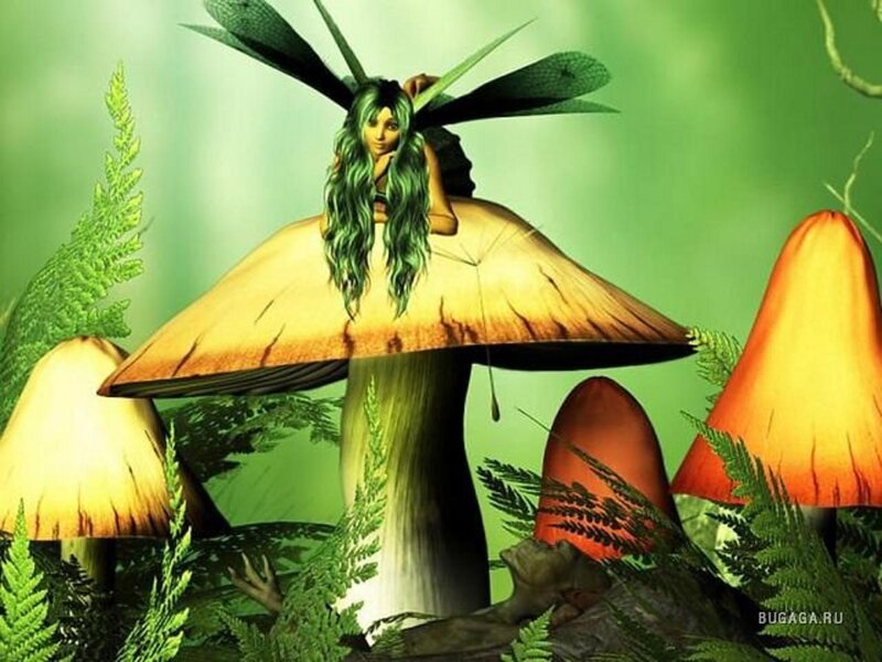 Green-haired Fairy on Mushroom
