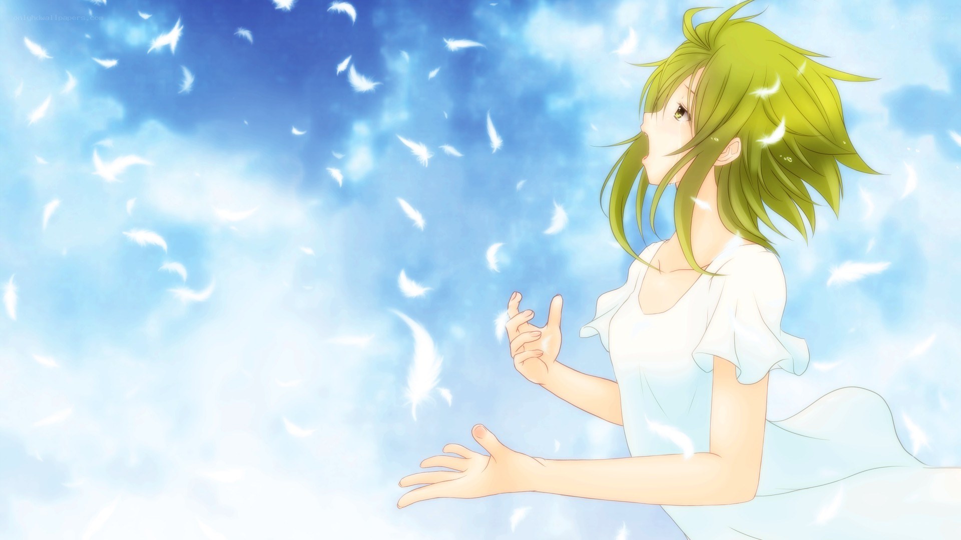 green-haired girl with feathers