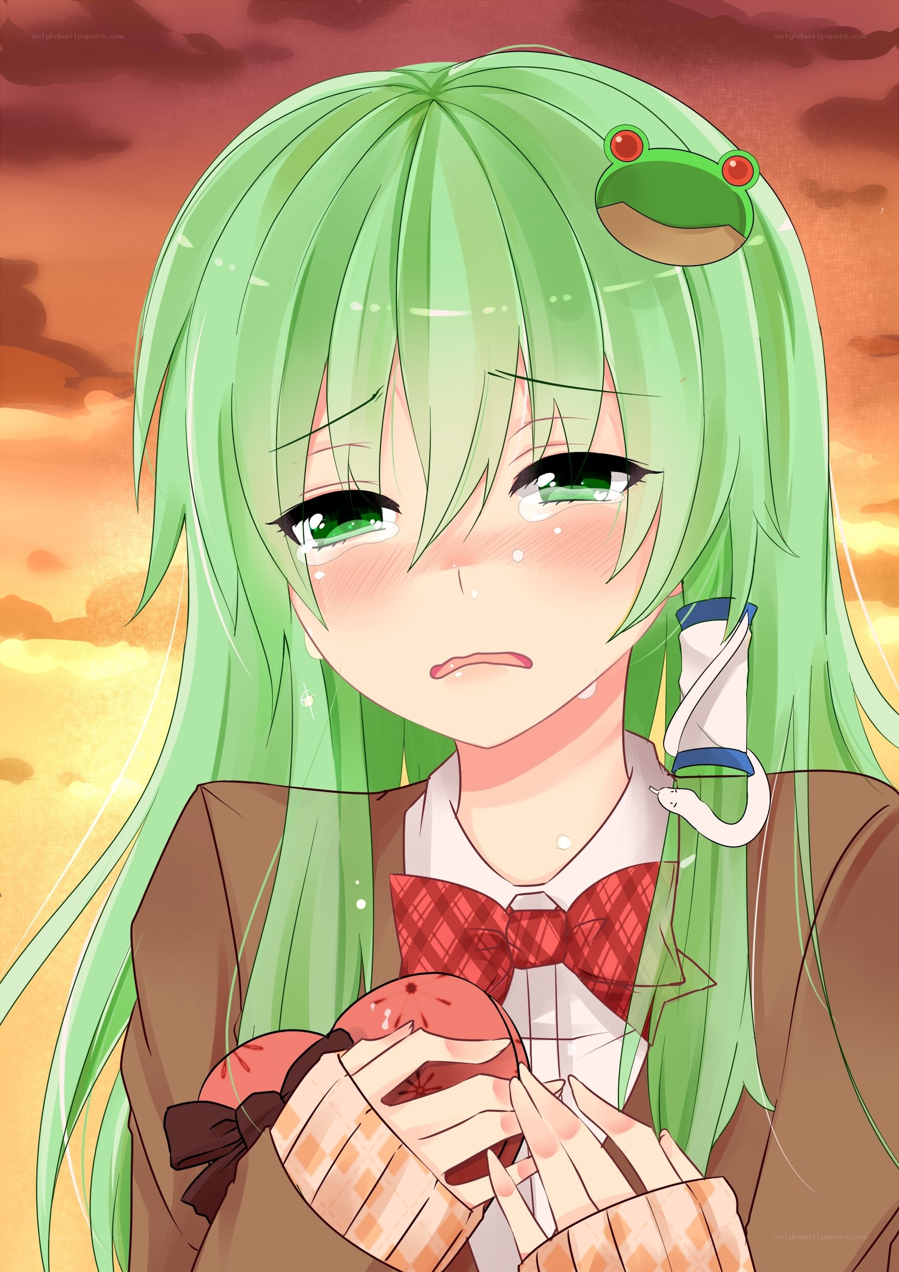 green-haired girl with frog