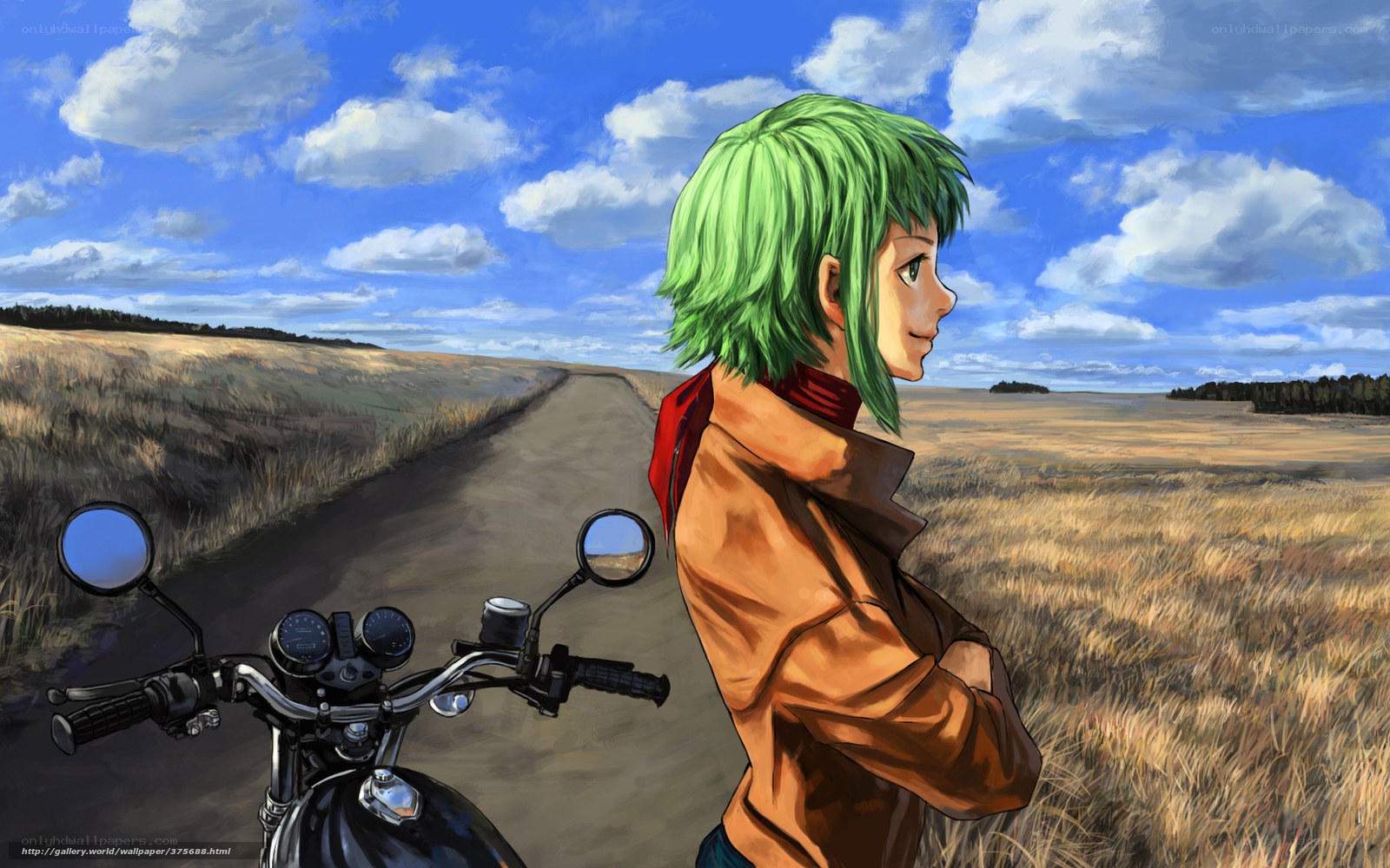 Green-haired rider on a country road