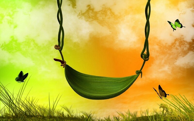 Green Hammock Swing