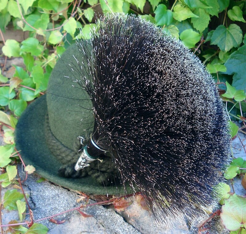 green hat with black plume