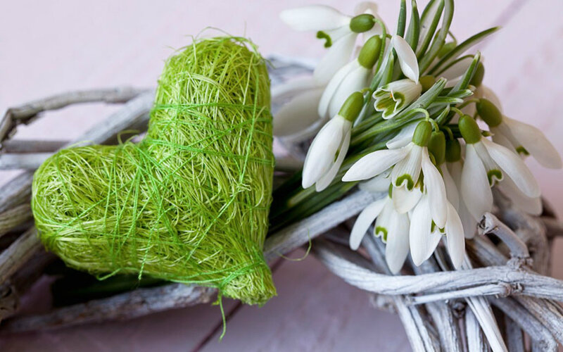 Green Heart and Snowdrops