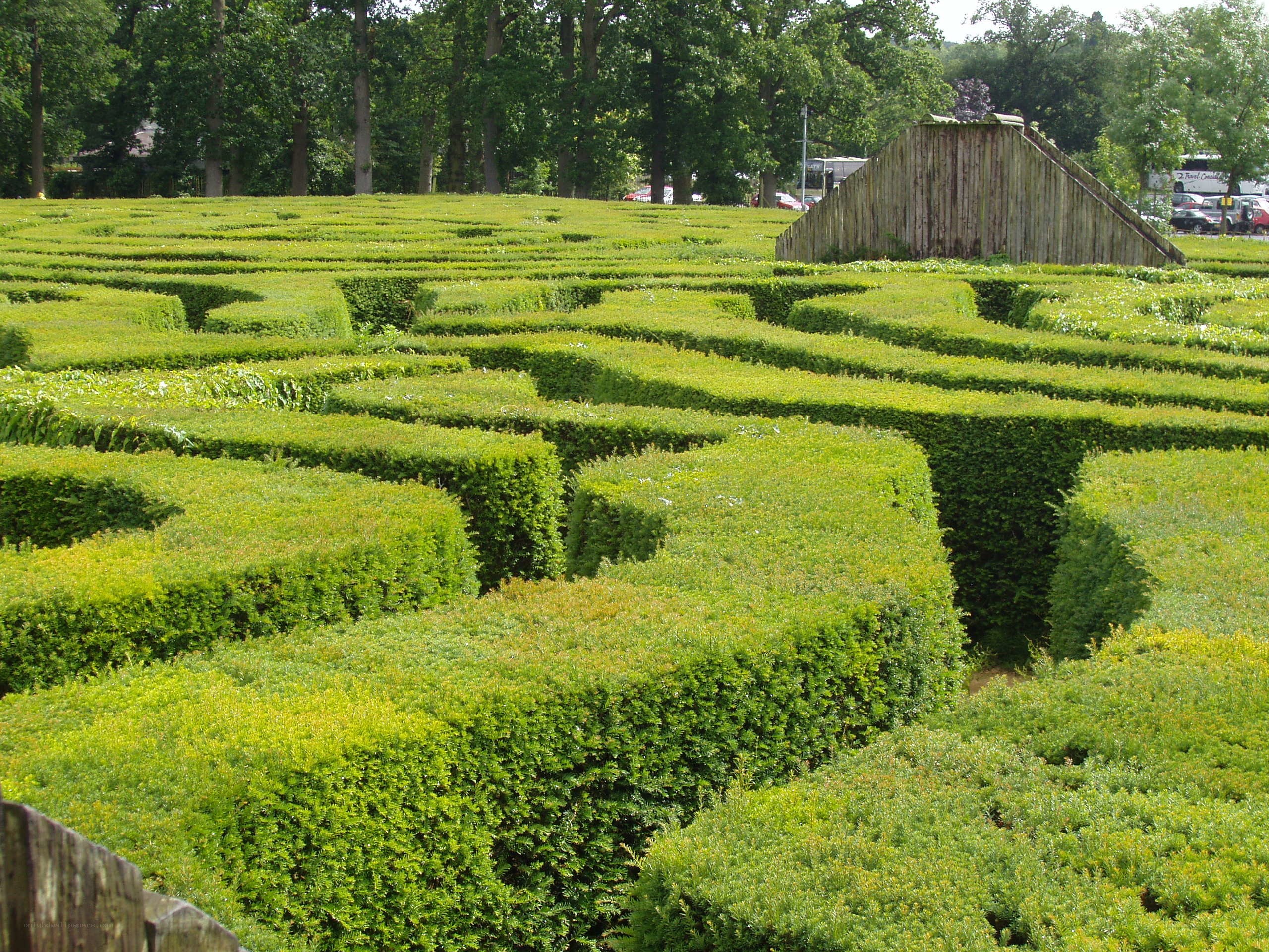 green hedge maze in park