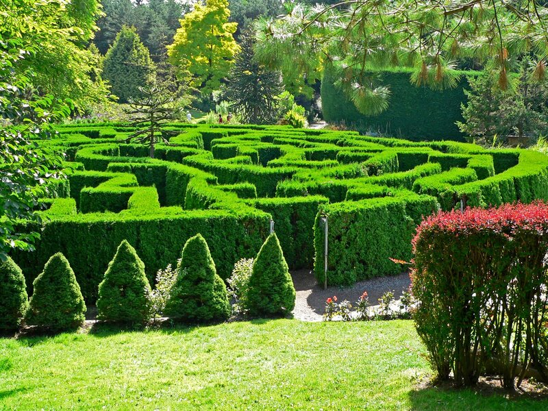 Green Hedge Maze — Serene