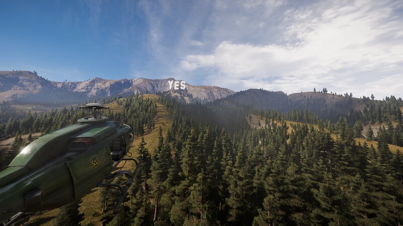 Green Helicopter over Forest