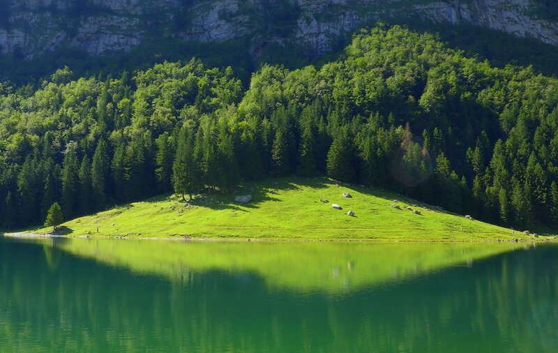 Green Hill by Lake — Serene, Afternoon