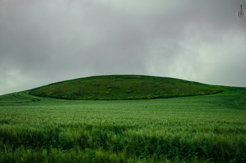 Green Hill in Field