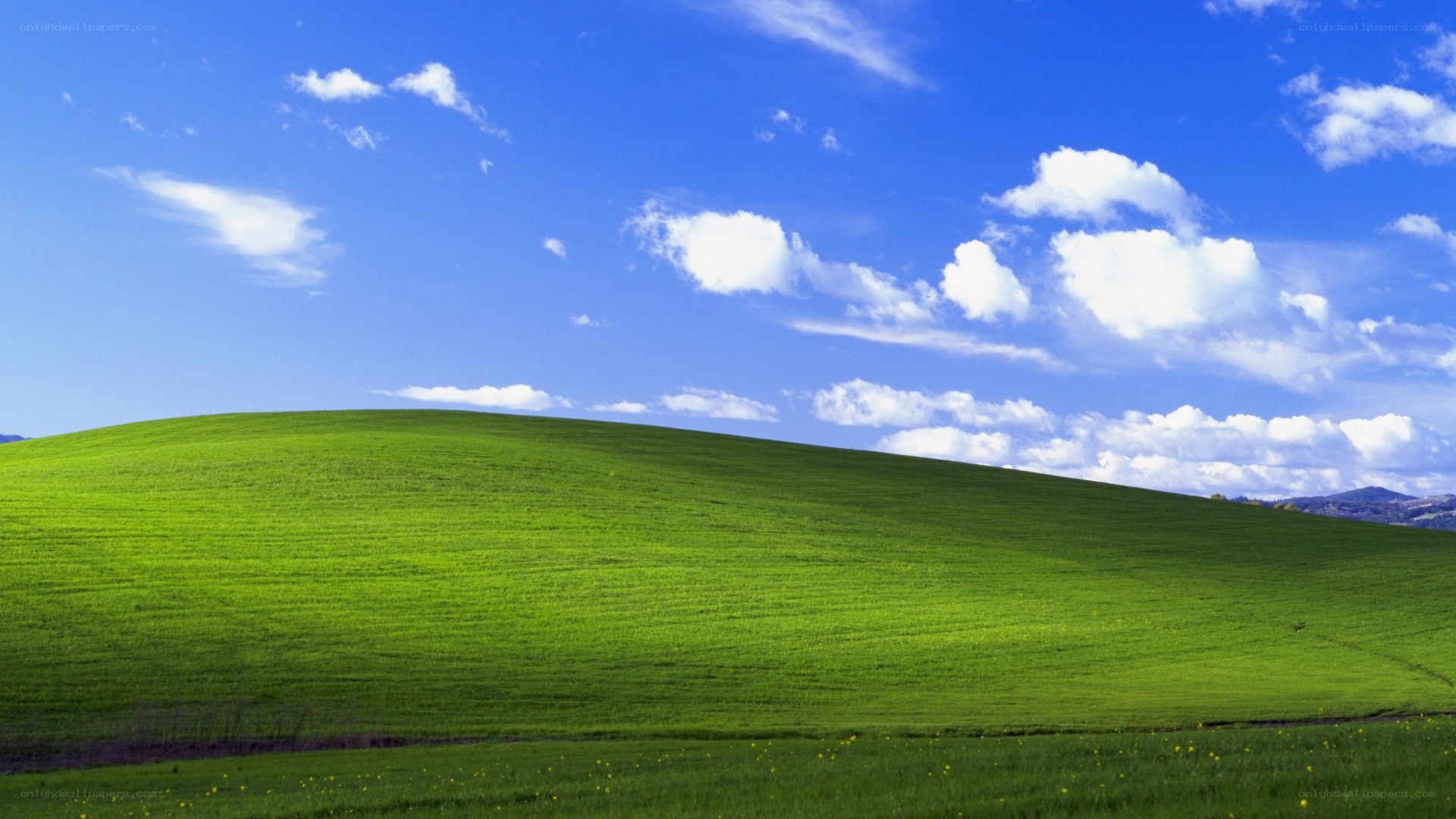 green hill under blue sky