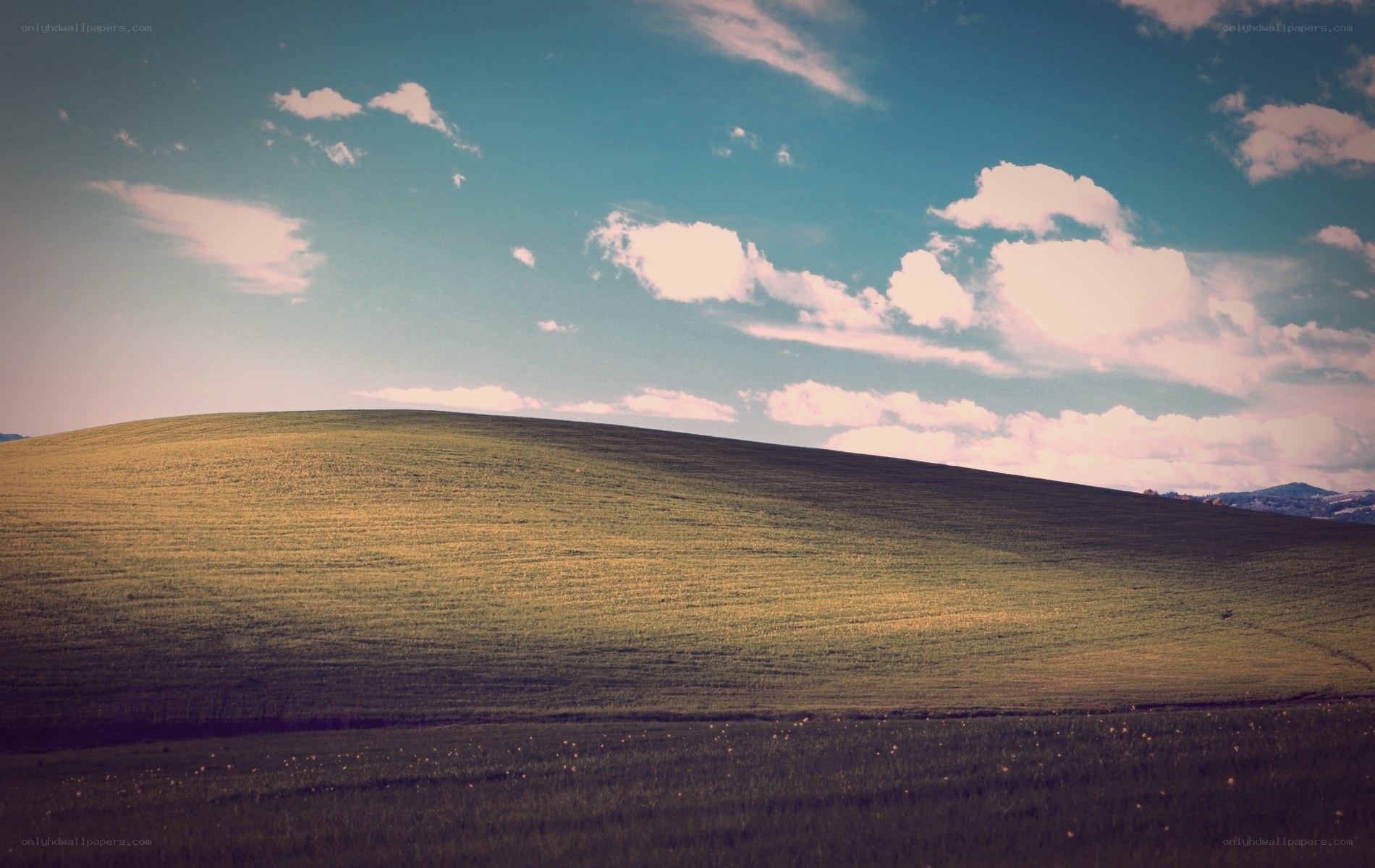 Green hill under blue sky