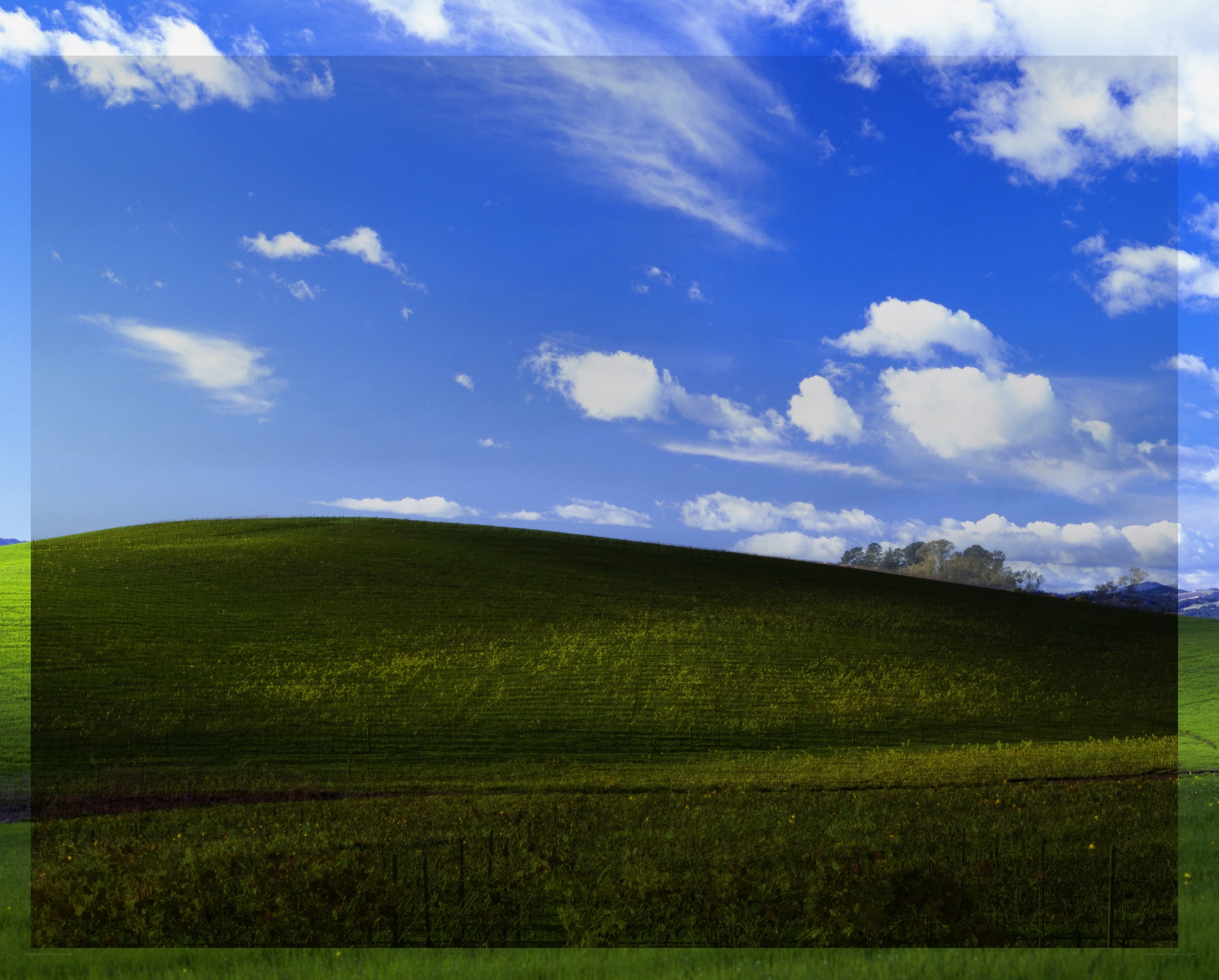 green hill under blue sky