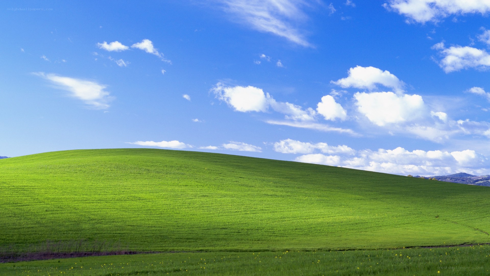 Green hill under blue sky