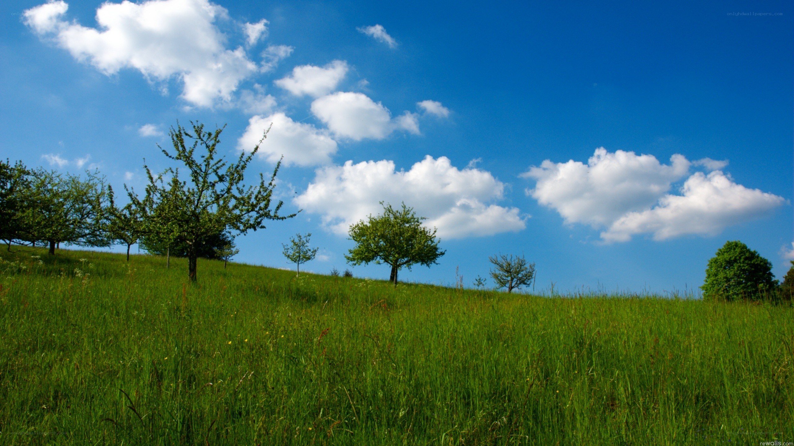 Green hill under blue sky
