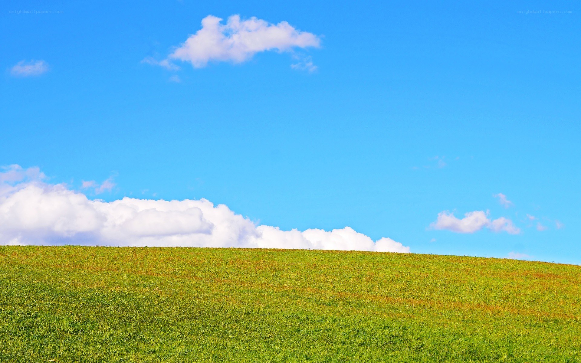 green hill under blue sky