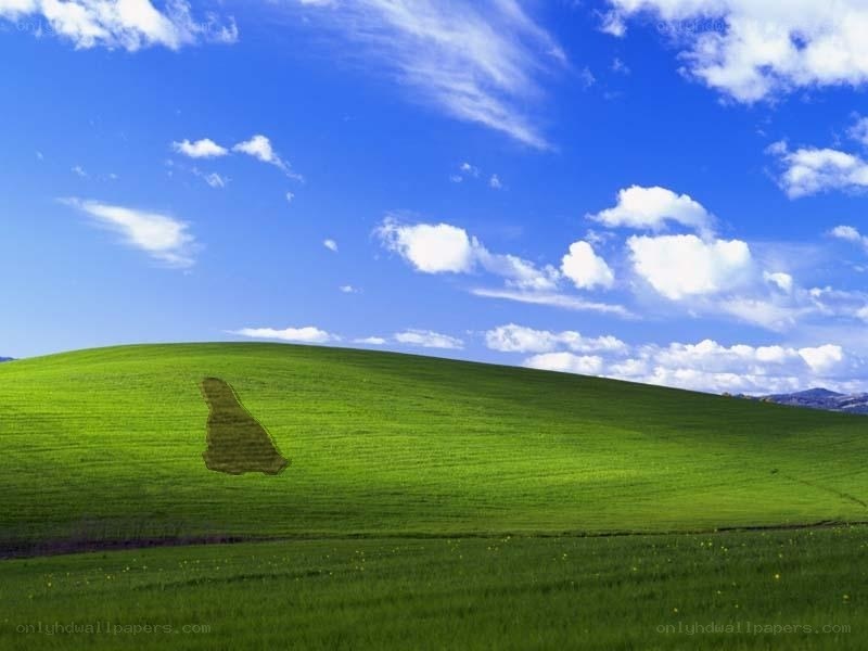 green hill under blue sky