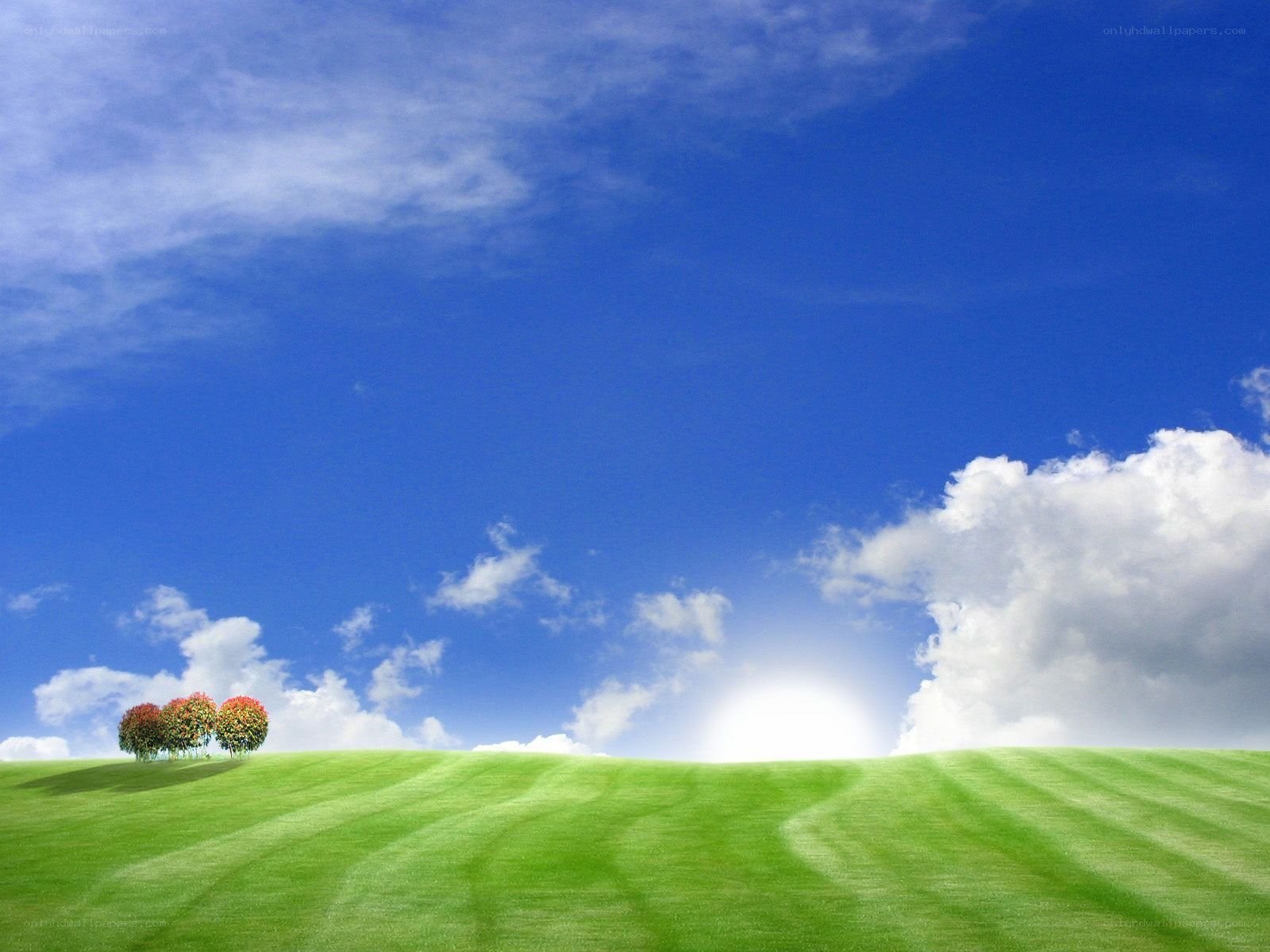 Green hill under blue sky