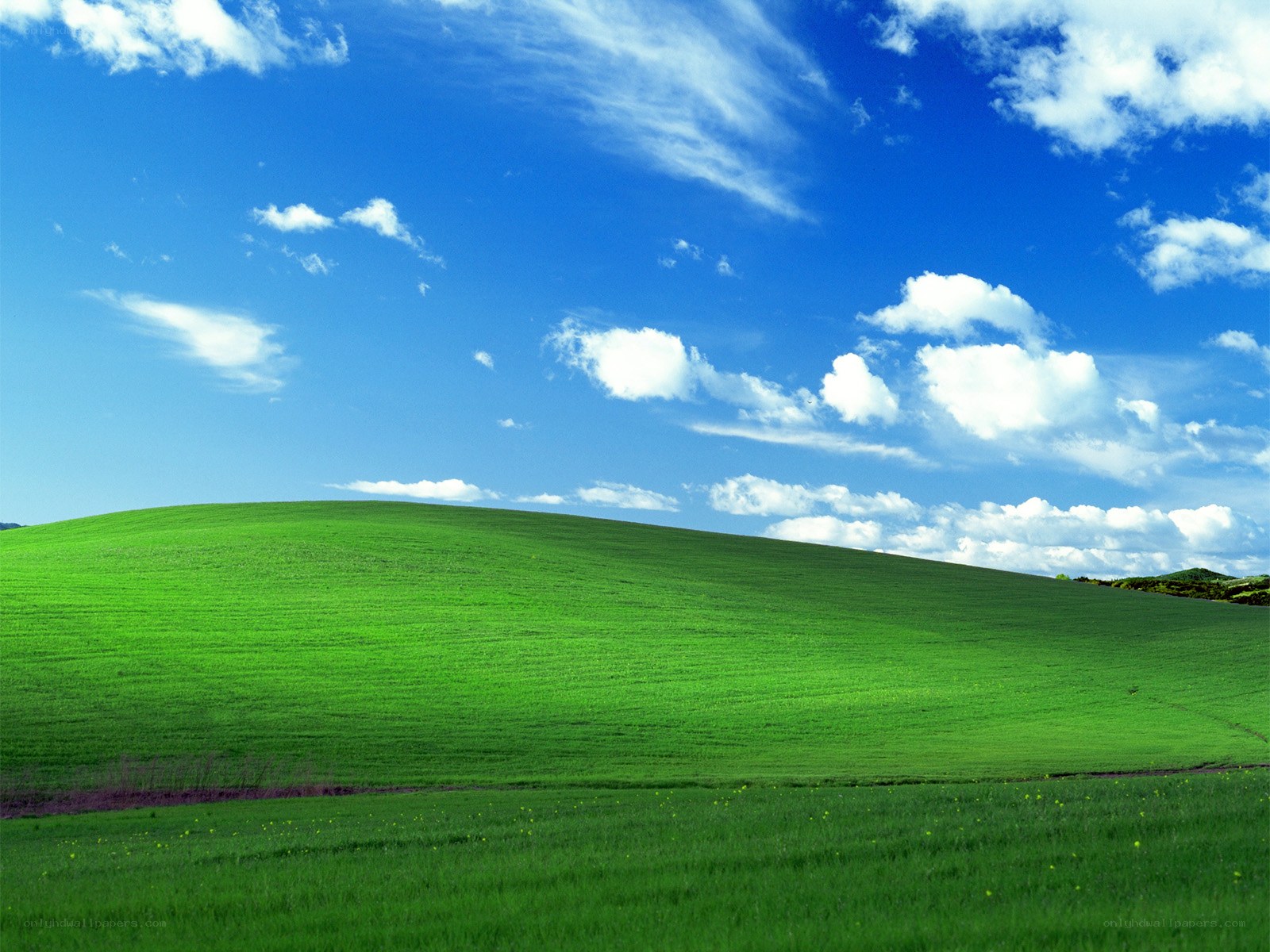 Green hill under blue sky