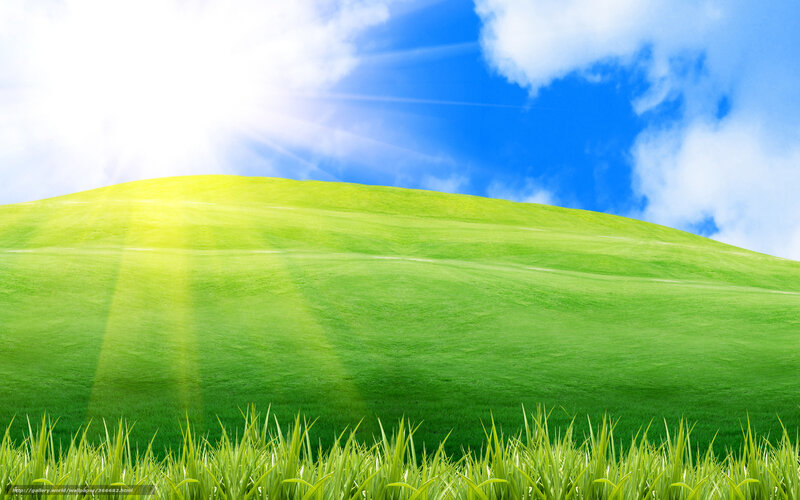 Green Hill under Blue Sky — Serene, Morning