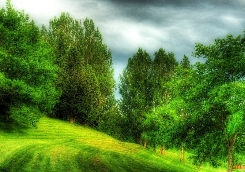 Green hill under cloudy sky