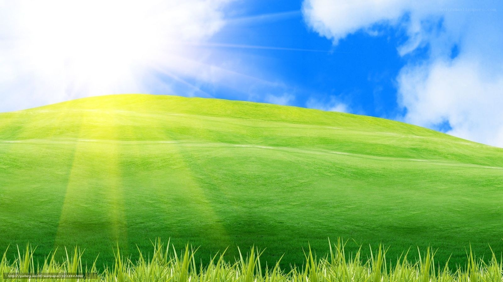 Green hill under sunny sky
