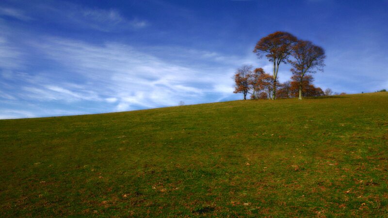 Green hill with autumn trees