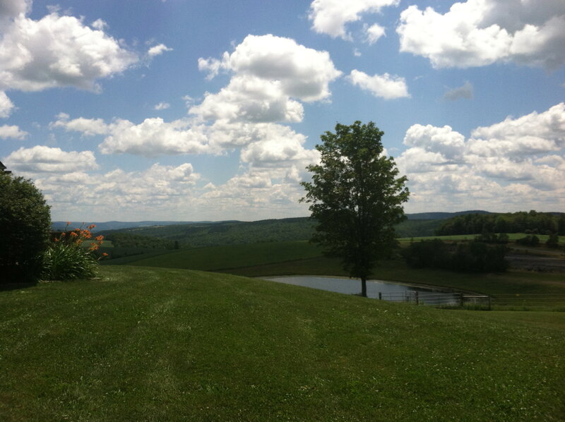 Green Hill with Pond