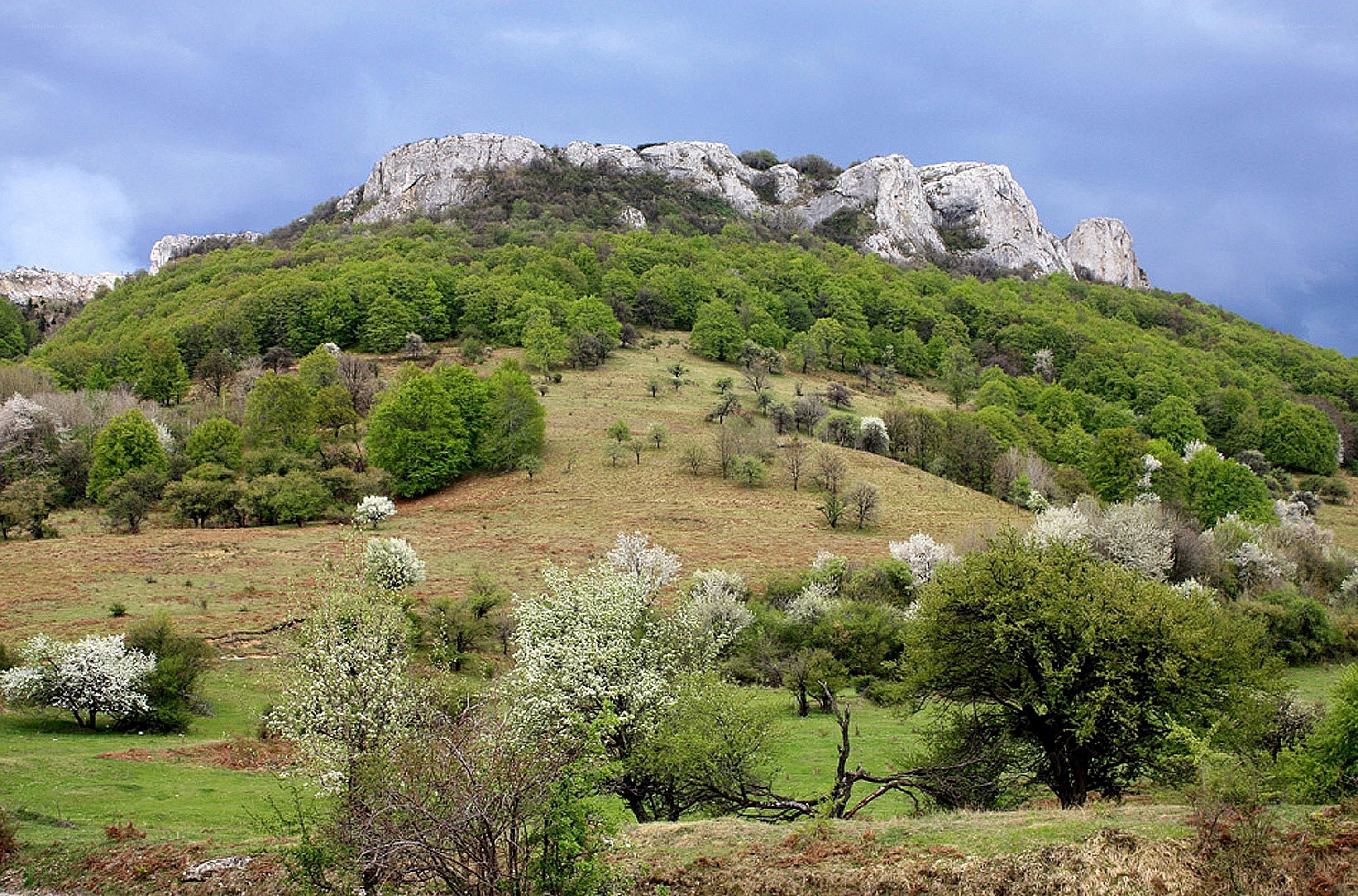 Green hill with rocky peak