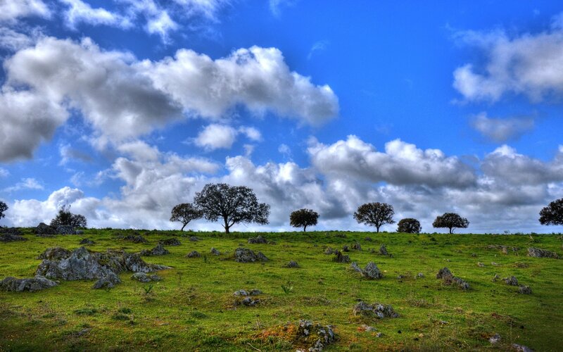 Green Hill with Scattered Trees — Blue