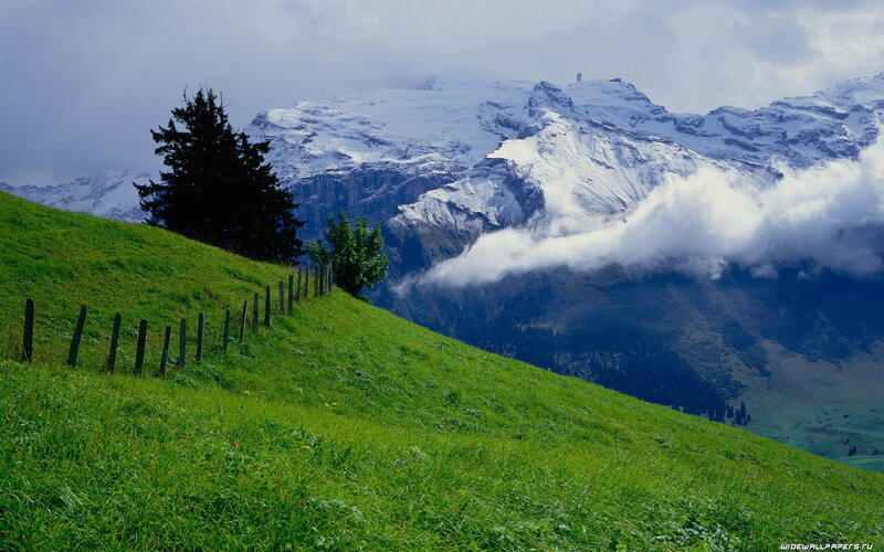 Green hill with snow-capped mountains