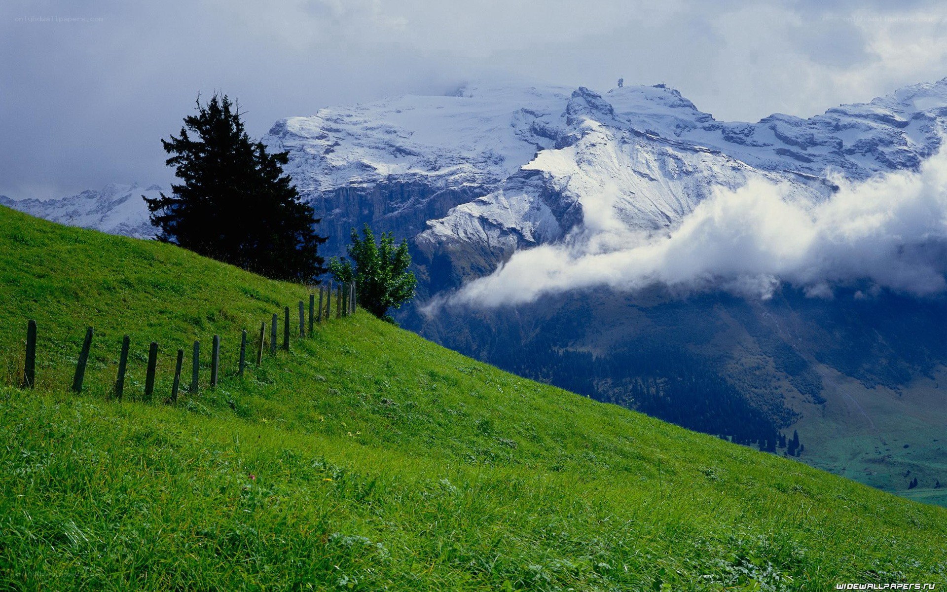 Green hill with snow-capped mountains