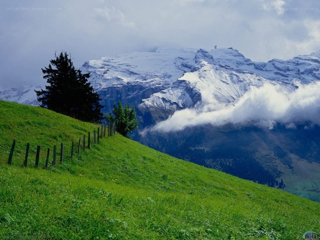 Green hill with snow-capped mountains
