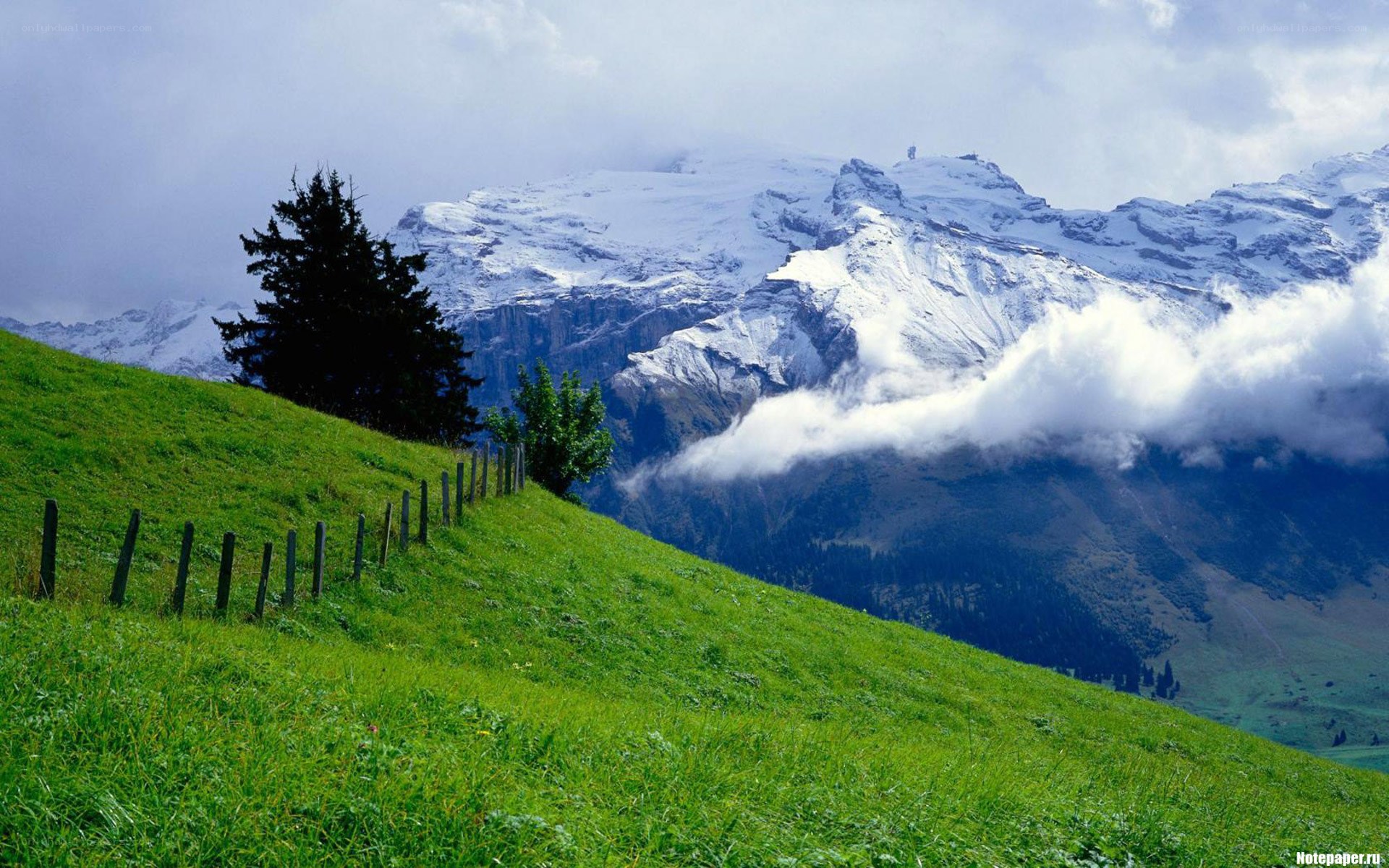 Green hill with snow-capped mountains