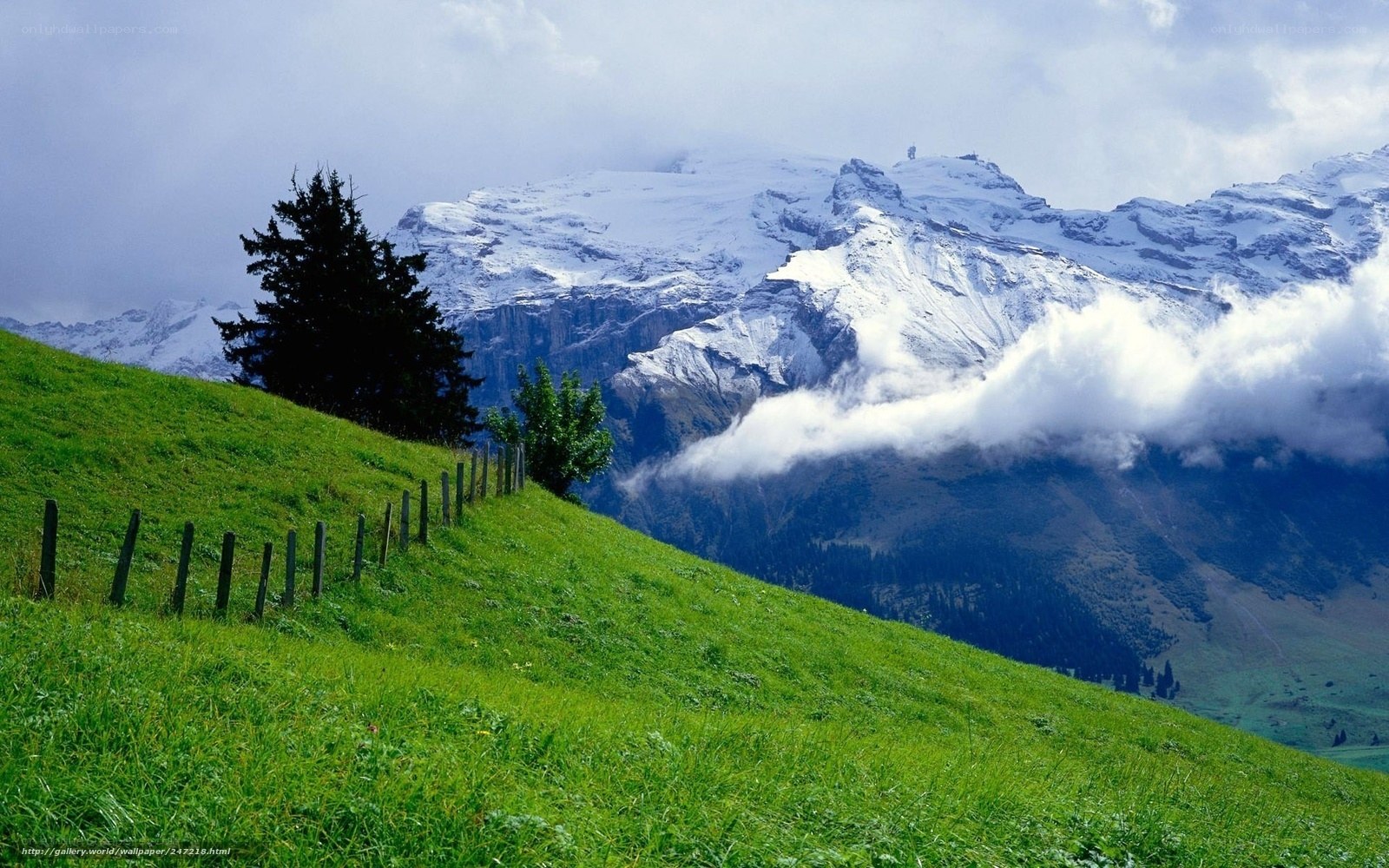 Green hill with snow-capped mountains