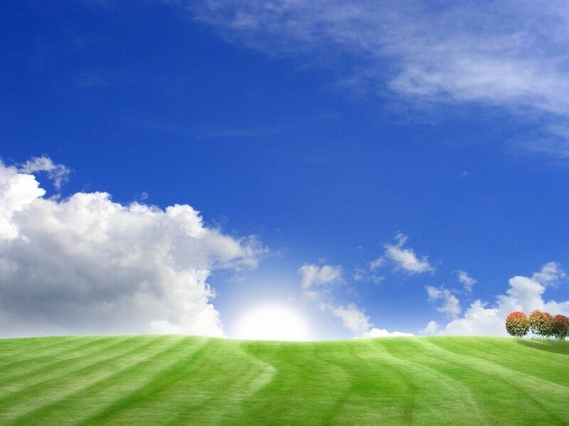 Green Hill with Trees — Blue, Serene, Afternoon
