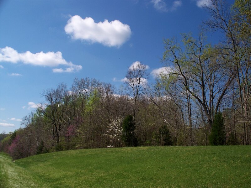 Green Hill with Trees — Blue, Serene, Spring