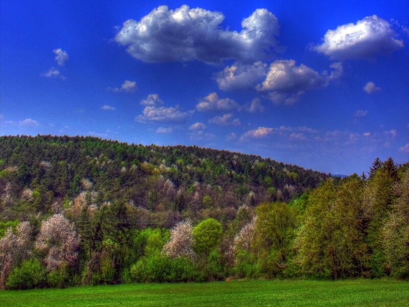 Green Hill with Trees — Blue