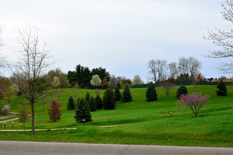 Green Hill with Trees — Calm, Spring