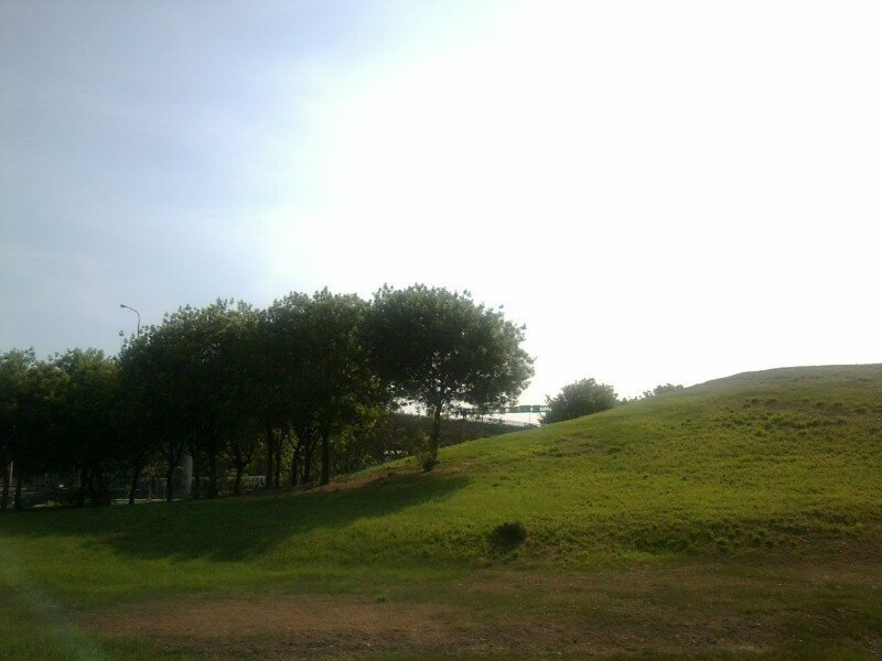 Green Hill with Trees — Calm