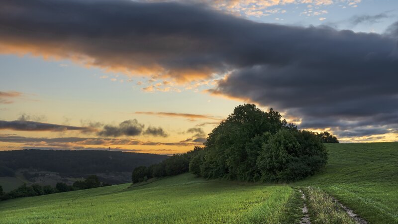 Green Hill with Trees — Dramatic, Sunset