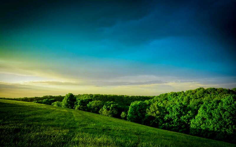 Green Hill with Trees — Dramatic