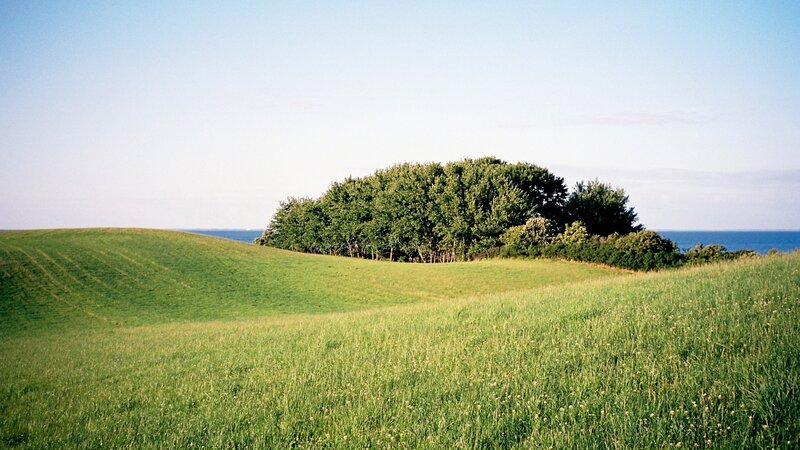 Green Hill with Trees — Serene, Afternoon, Photograph