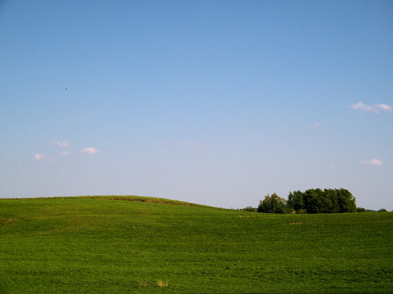 Green Hill with Trees — Serene, Afternoon