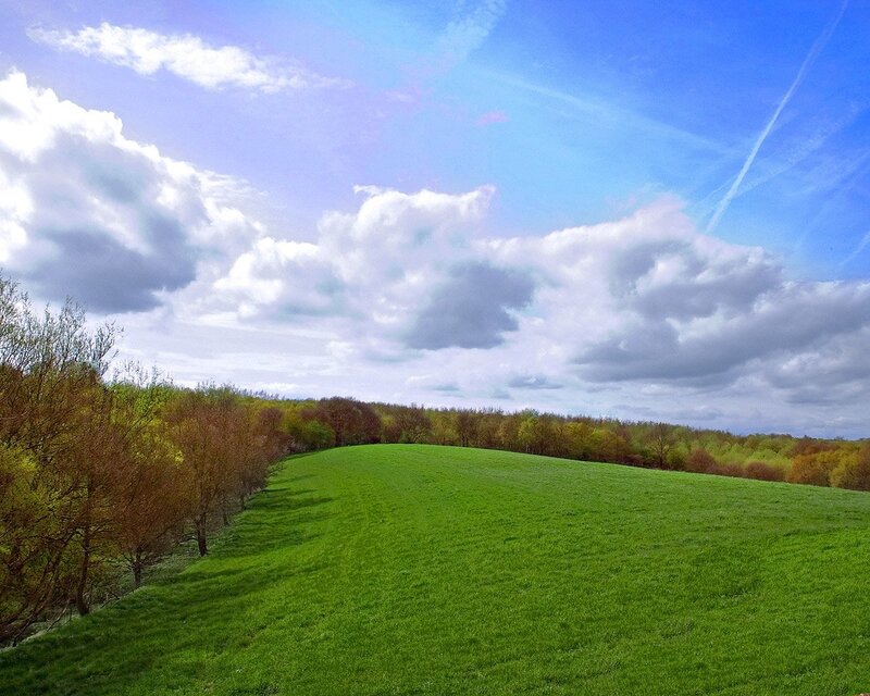 Green Hill with Trees — Serene, Spring