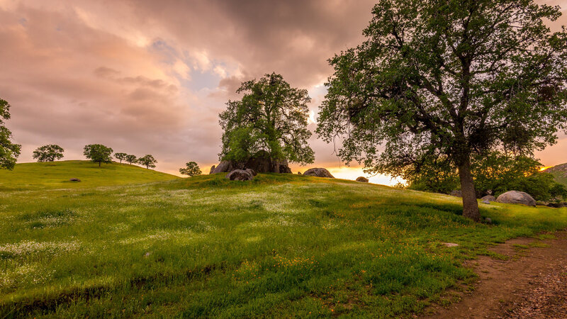 Green Hill with Trees — Serene, Sunset