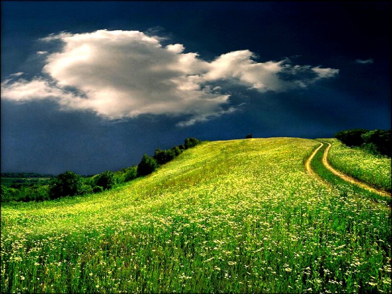Green hill with winding path
