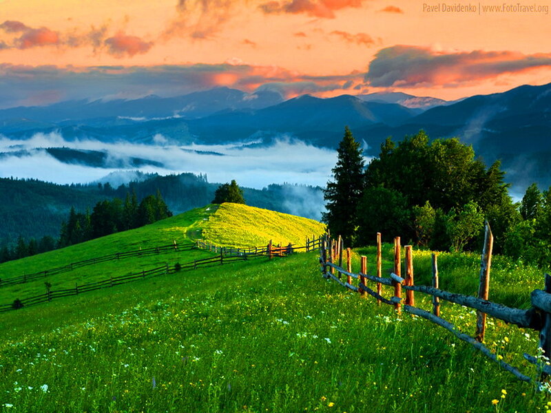 Green Hill with Wooden Fence