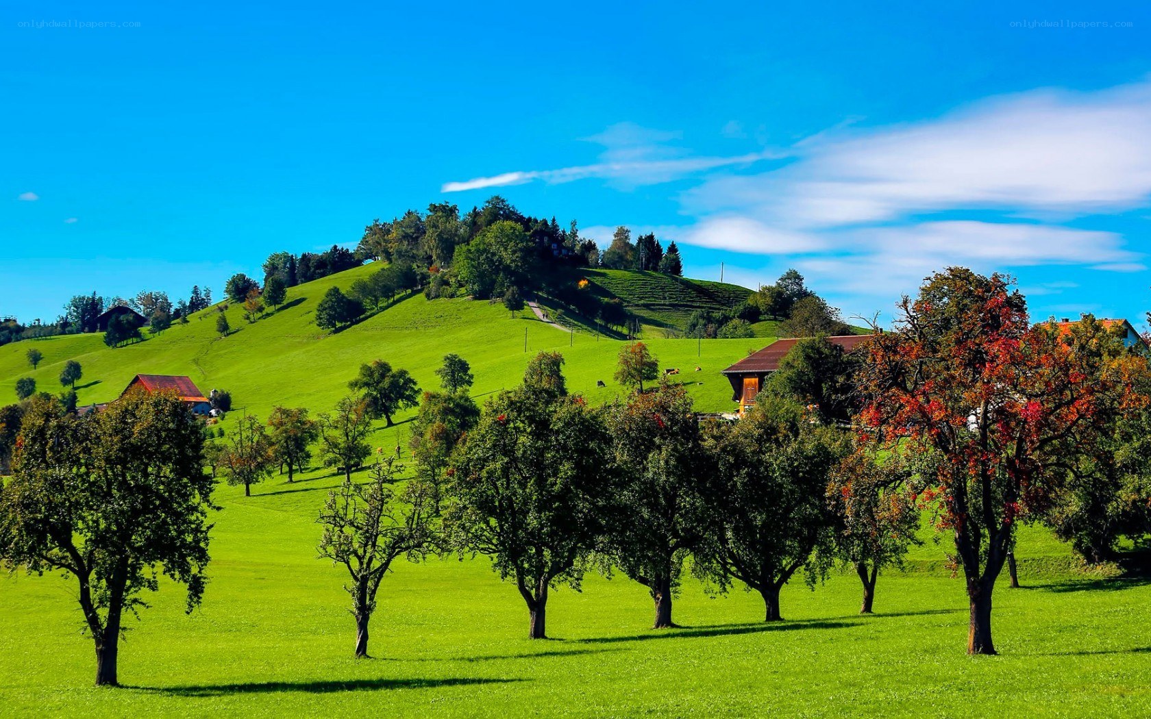 Green hills and autumn trees