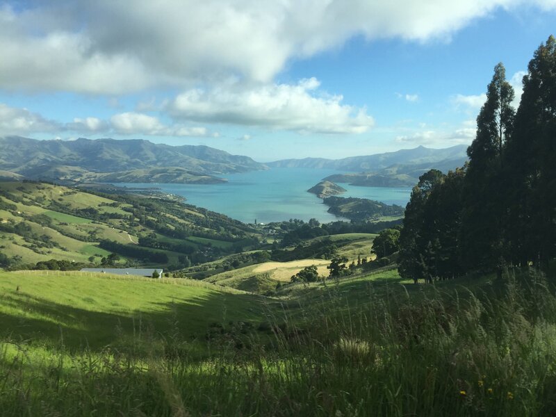 Green Hills and Bay — Serene