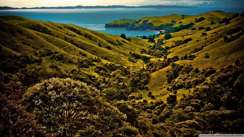Green Hills and Bay