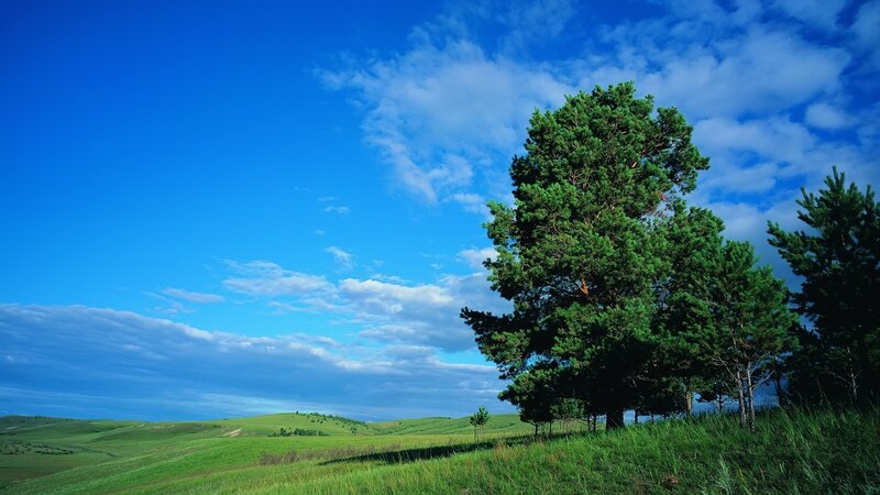 Green hills and blue sky